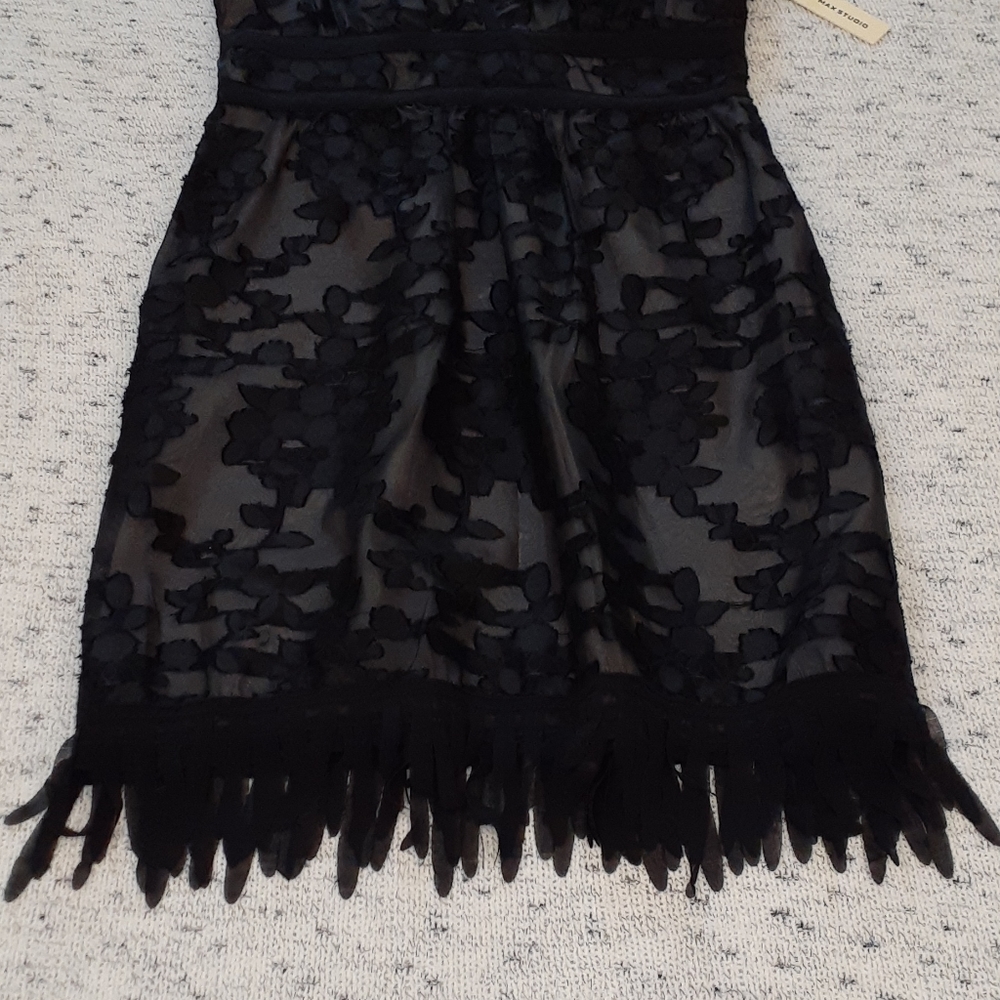 MAX STUDIO DRESS - Picture 3 of 10